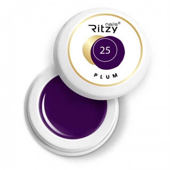 Ritzy Nails Gel Paint PLUM 25